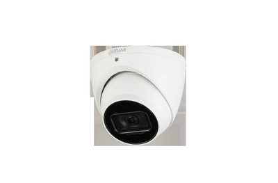 Dahua 2MP IR Fixed-focal Eyeball WizSense Network Camera