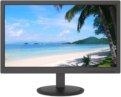 Dahua 19.5’’ FHD Monitor