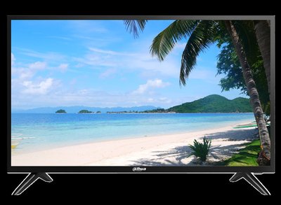 Dahua 32" FHD Monitor