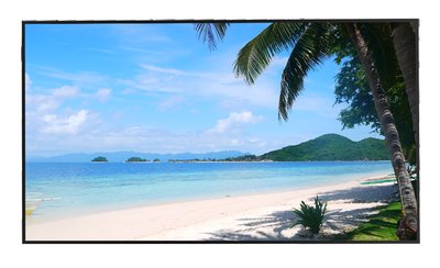 Dahua 49'' UHD LED Monitor