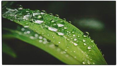 Dahua 65 inch 3.5mm LCD Display Wall Unit (LCD DISPLAY)