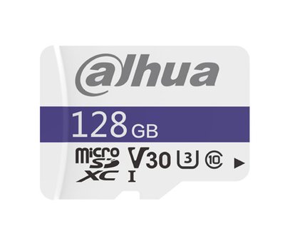Dahua C100 microSD Memory Cards