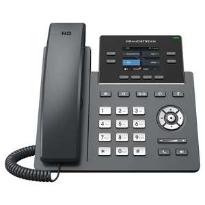 Professional P Phone, 2 SIP accounts, 4 lines, 2x Ethernet 10/100 PoE, 320x240 (2.4") color LCD, no PSU